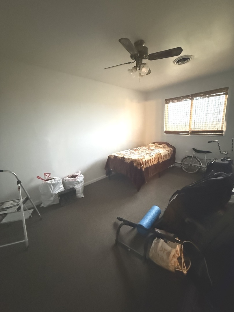 161 N Will Road, Braidwood, IL 60408