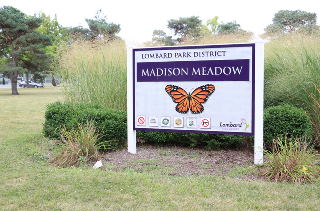 620 S Norbury Avenue, Lombard, IL 60148