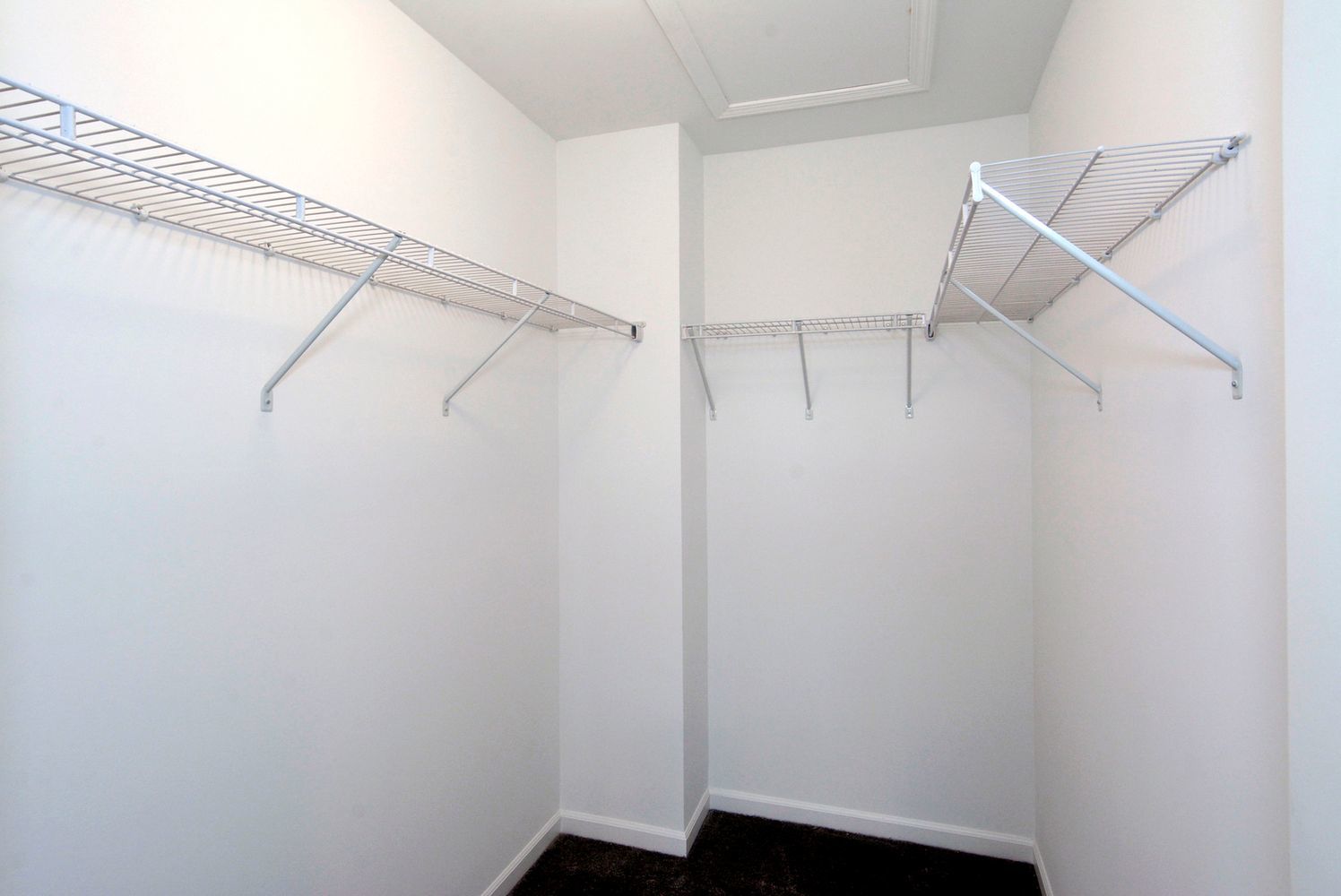 202 Timberleaf Circle, Roselle, IL 60172