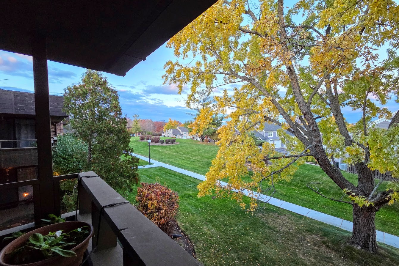 1365 N Sterling Avenue #214D, Palatine, IL 60067