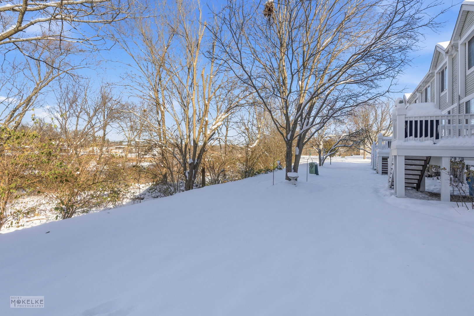 31502 Kline Circle, Warrenville, IL 60555