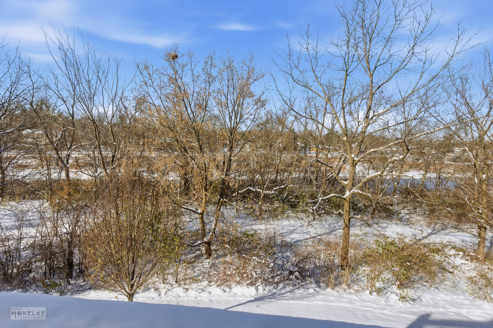 31502 Kline Circle, Warrenville, IL 60555