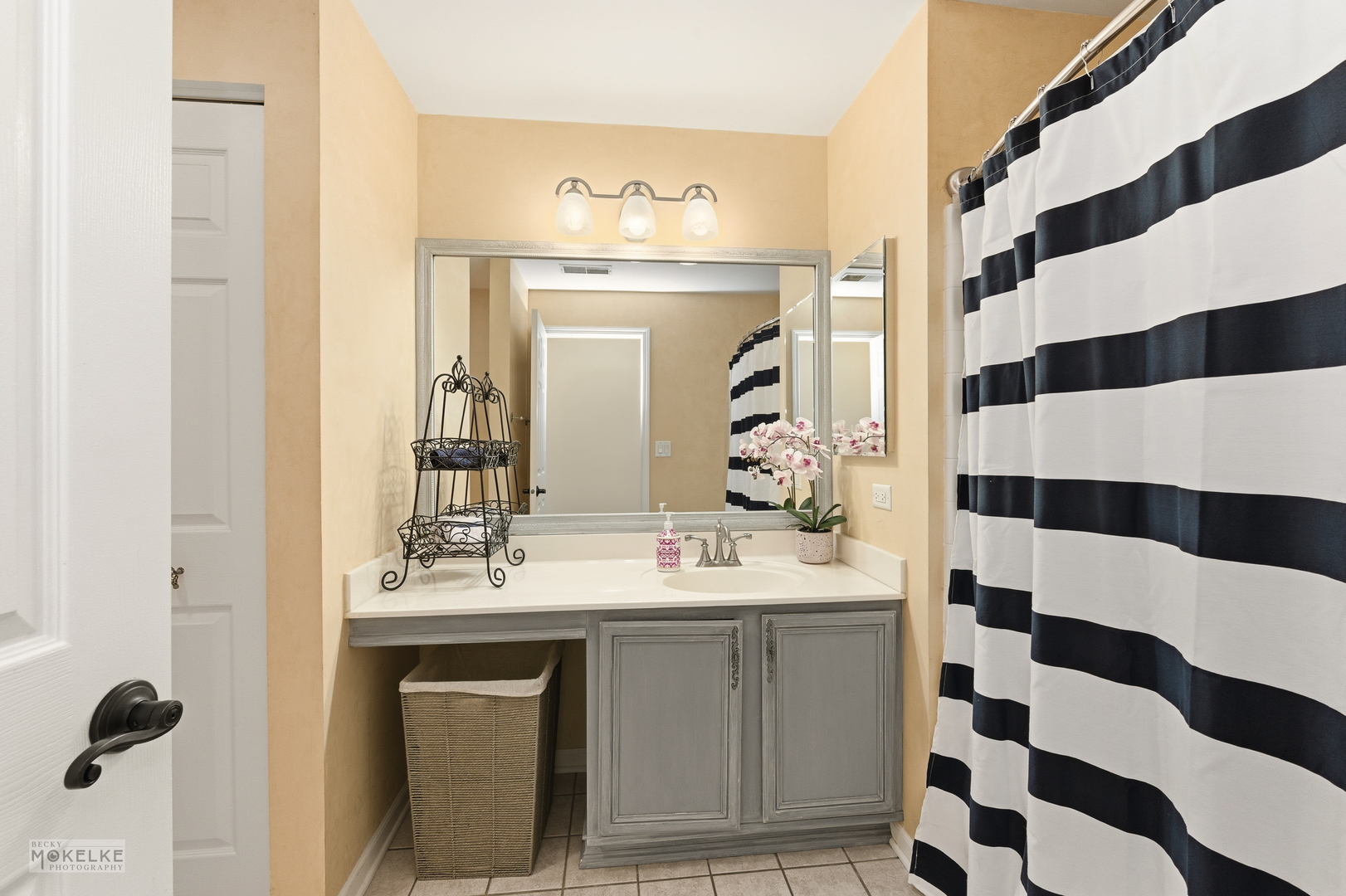 31502 Kline Circle, Warrenville, IL 60555