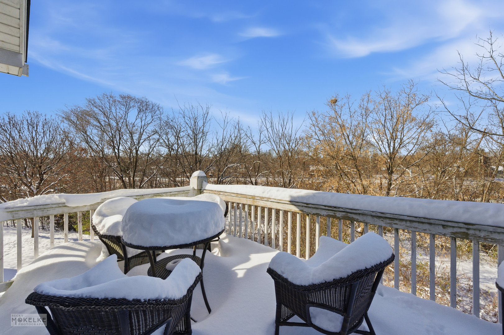 31502 Kline Circle, Warrenville, IL 60555