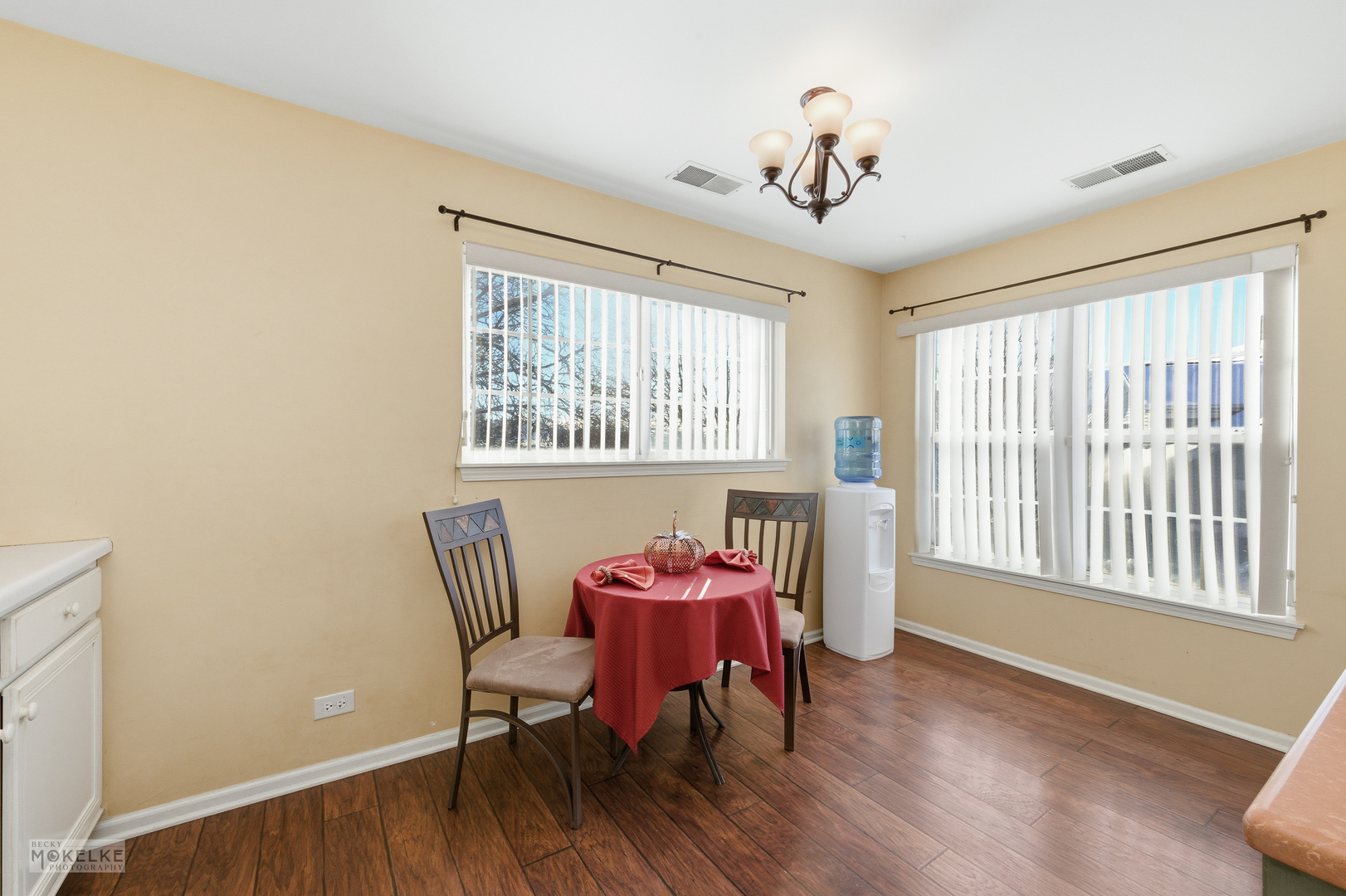 31502 Kline Circle, Warrenville, IL 60555