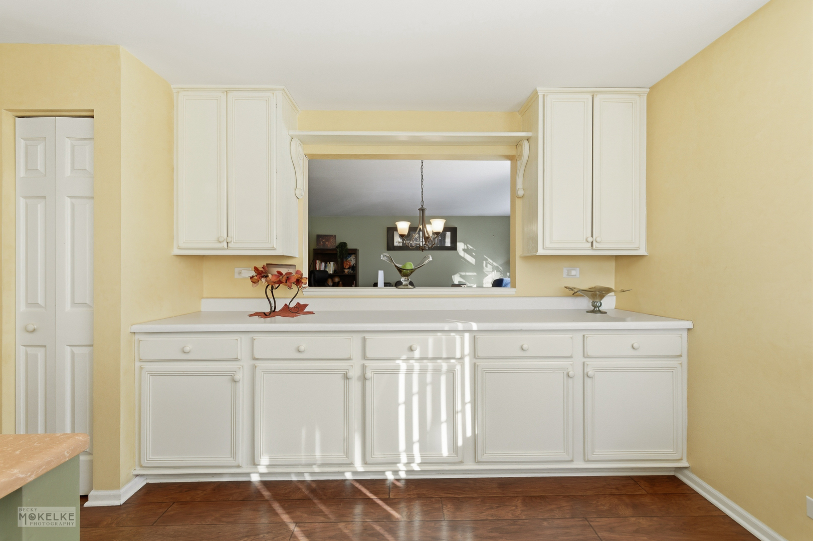 31502 Kline Circle, Warrenville, IL 60555