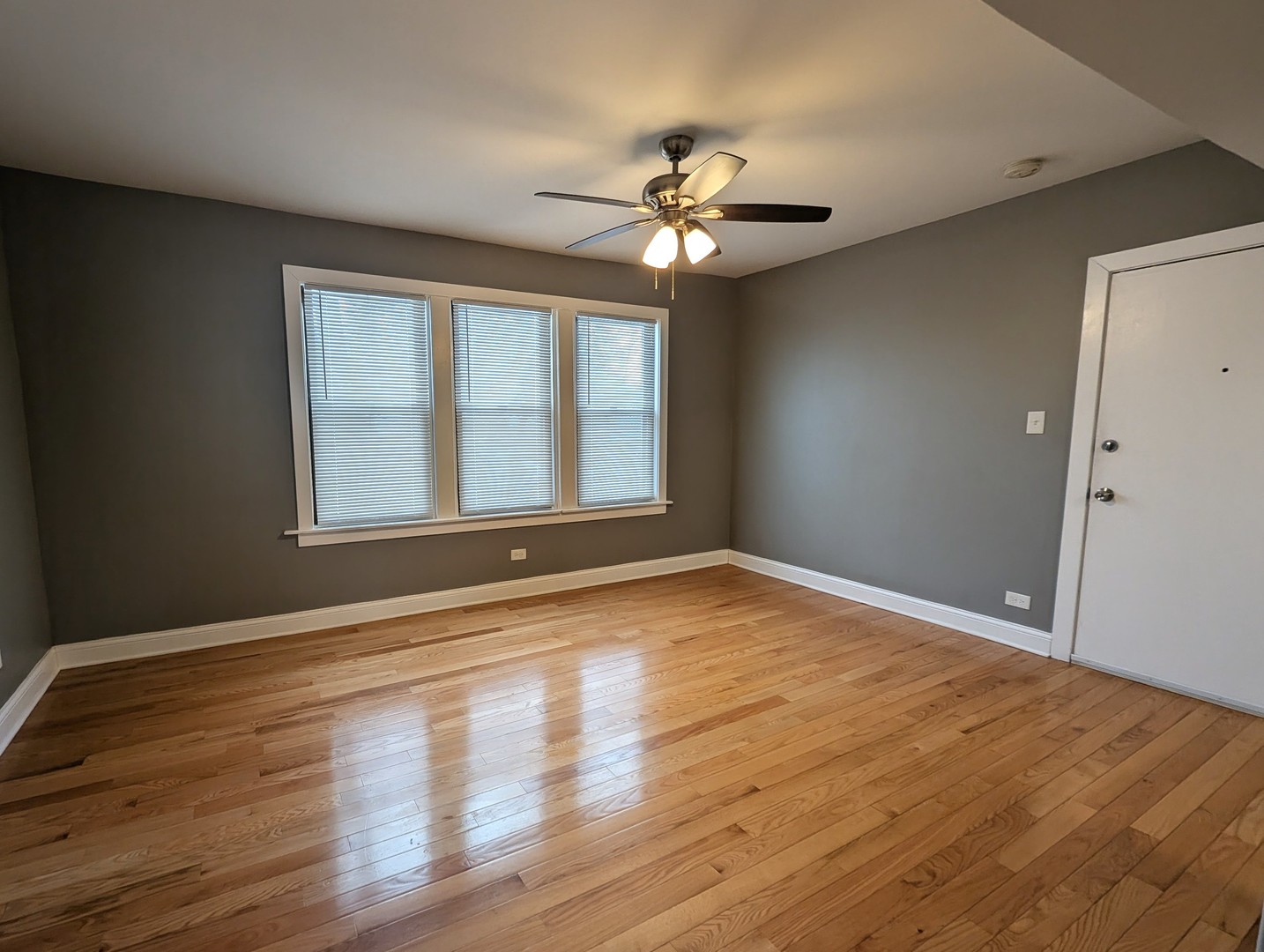 11005 S Perry Avenue #2, Chicago, IL 60628