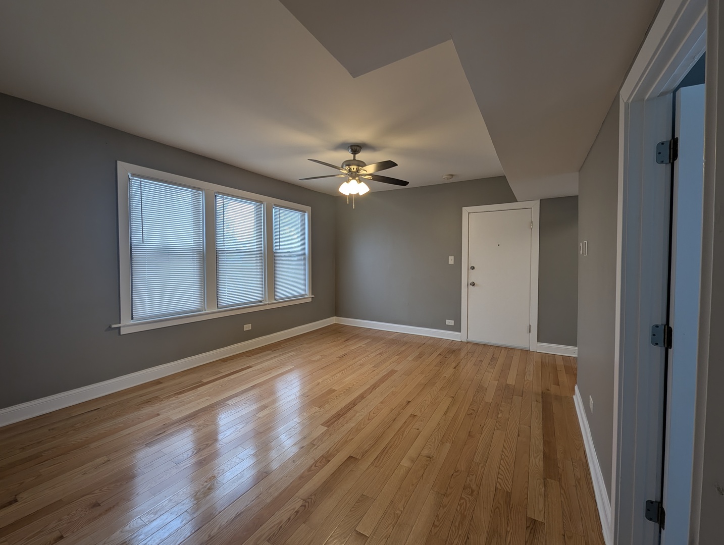 11005 S Perry Avenue #2, Chicago, IL 60628