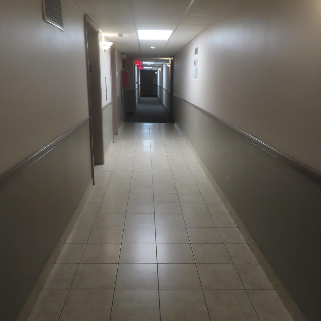 7234 W North Avenue #1008, Elmwood Park, IL 60707