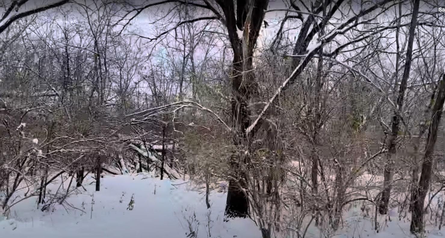 Vacant Heiden Avenue, Crest Hill, IL 60403