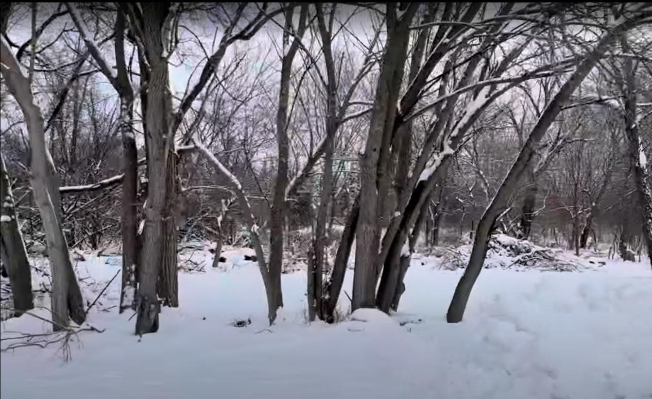 Vacant Heiden Avenue, Crest Hill, IL 60403