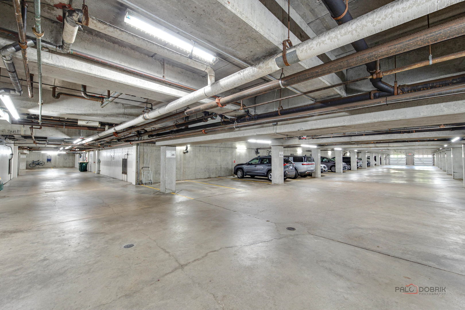 2200 Bouterse Street #407, Park Ridge, IL 60068