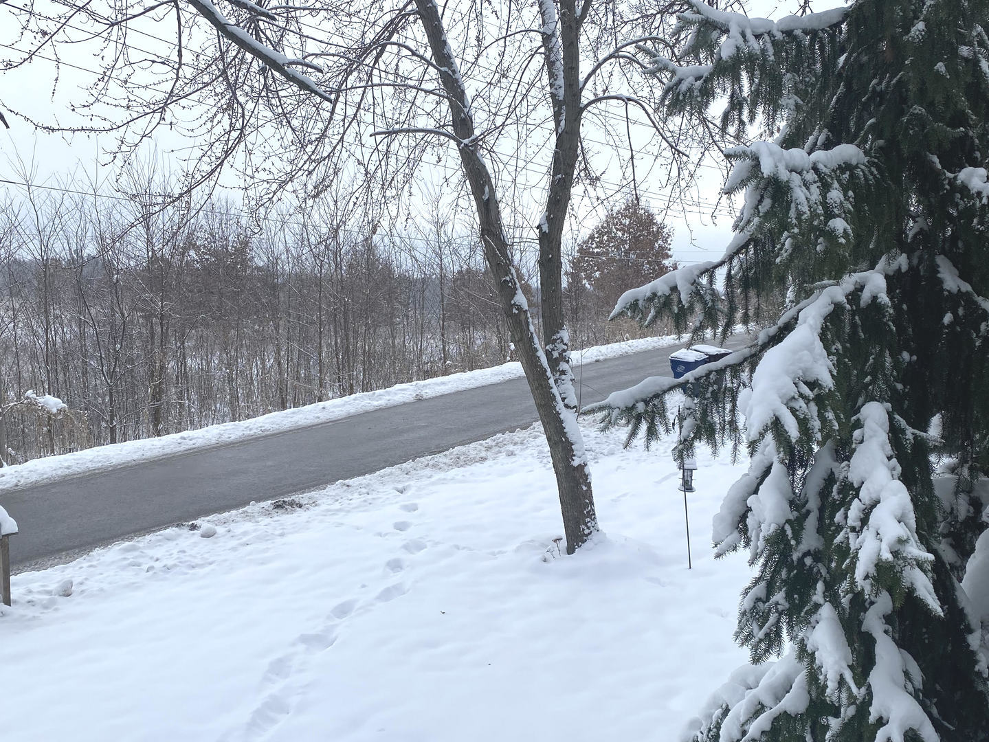 423 Grand Boulevard #423, Wauconda, IL 60084