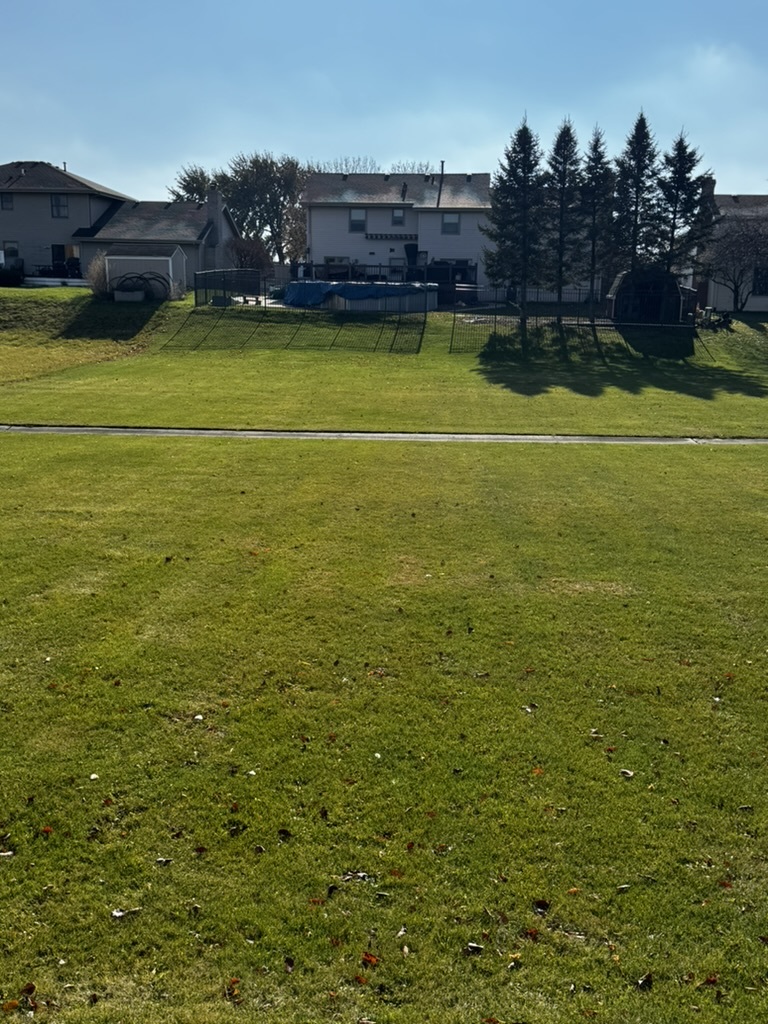 1861 Grand Prairie Drive, New Lenox, IL 60451