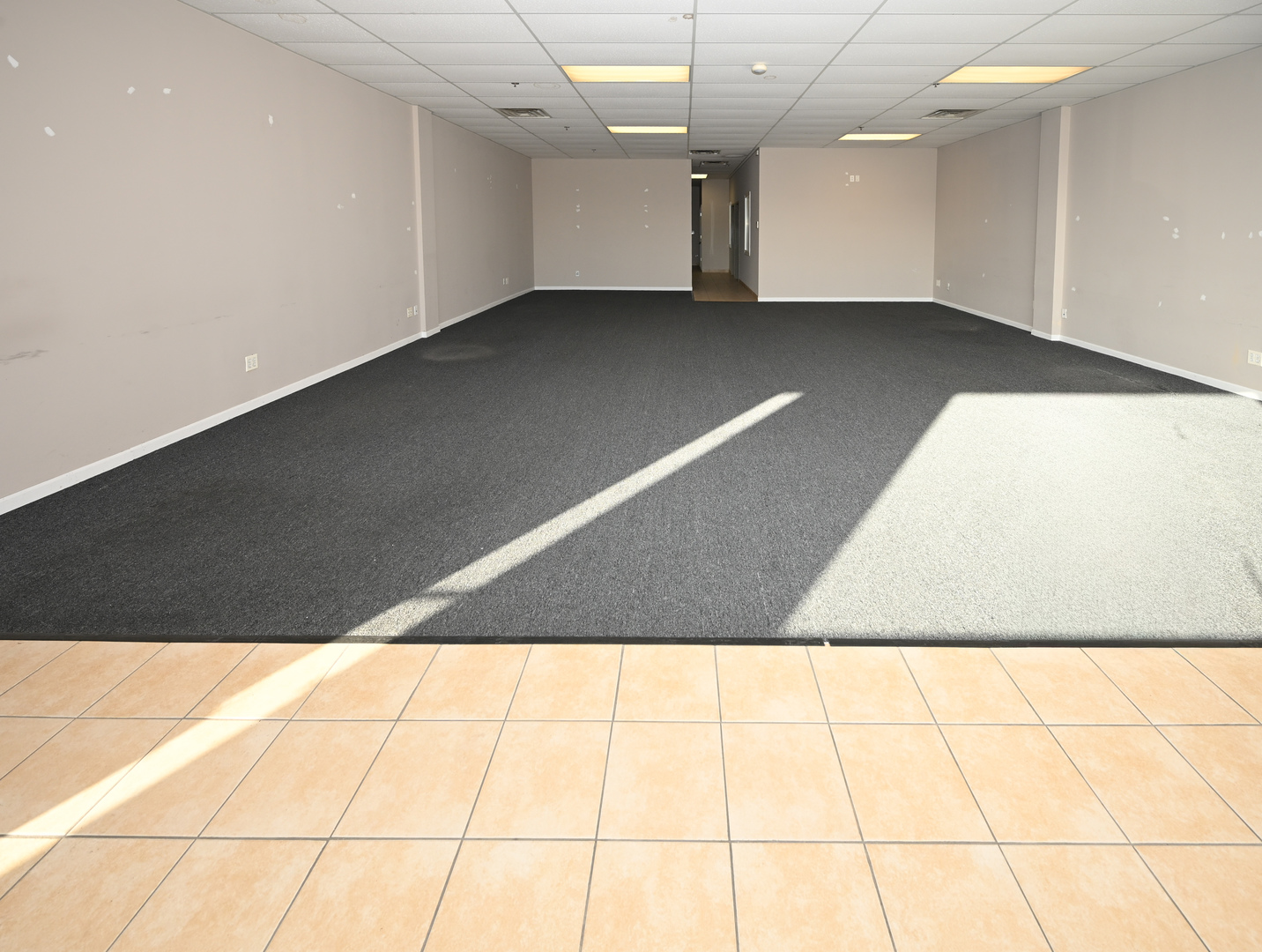 Elk Grove Village, IL 60007