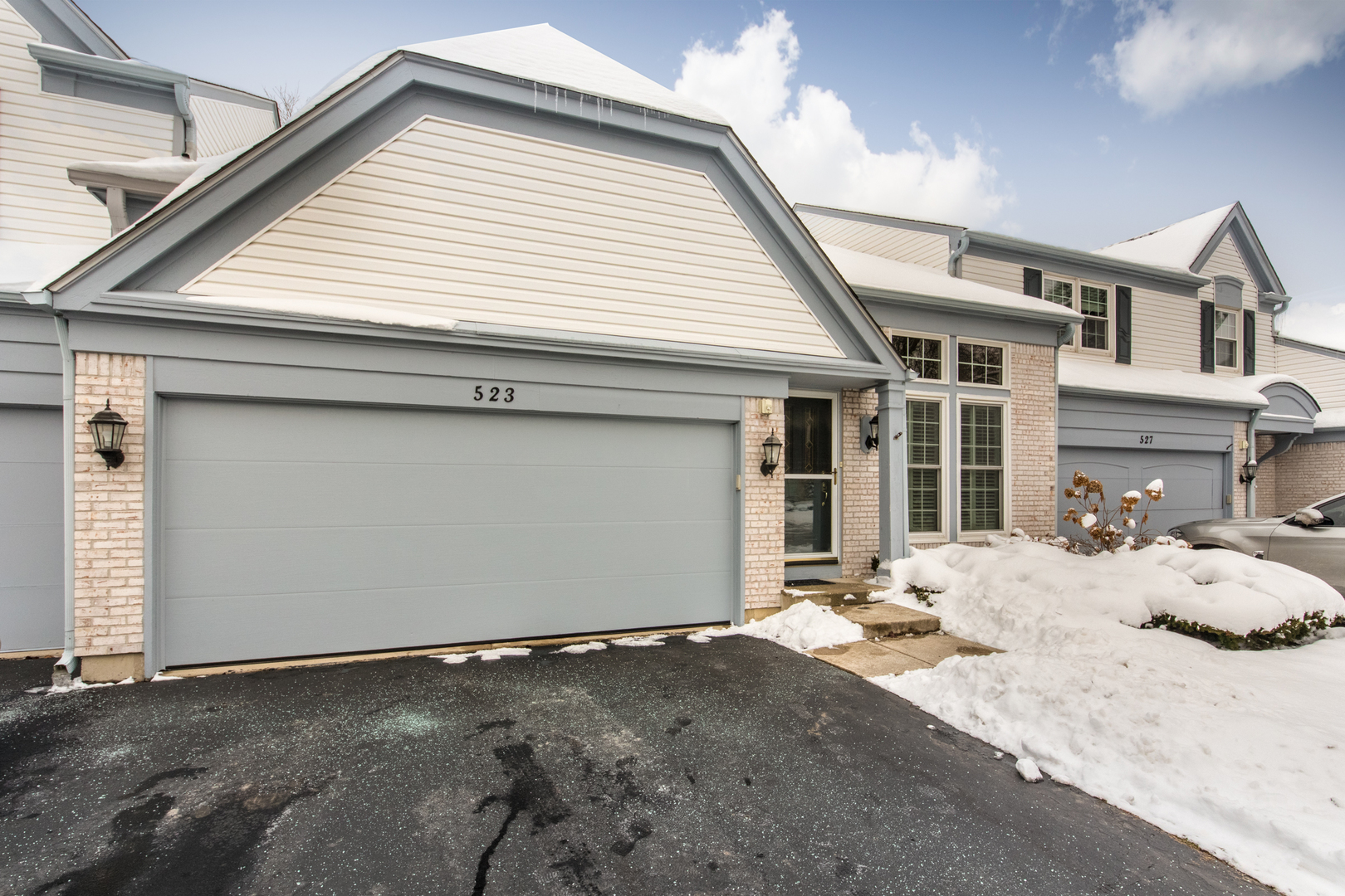 523 Orleans Avenue, Naperville, IL 60565