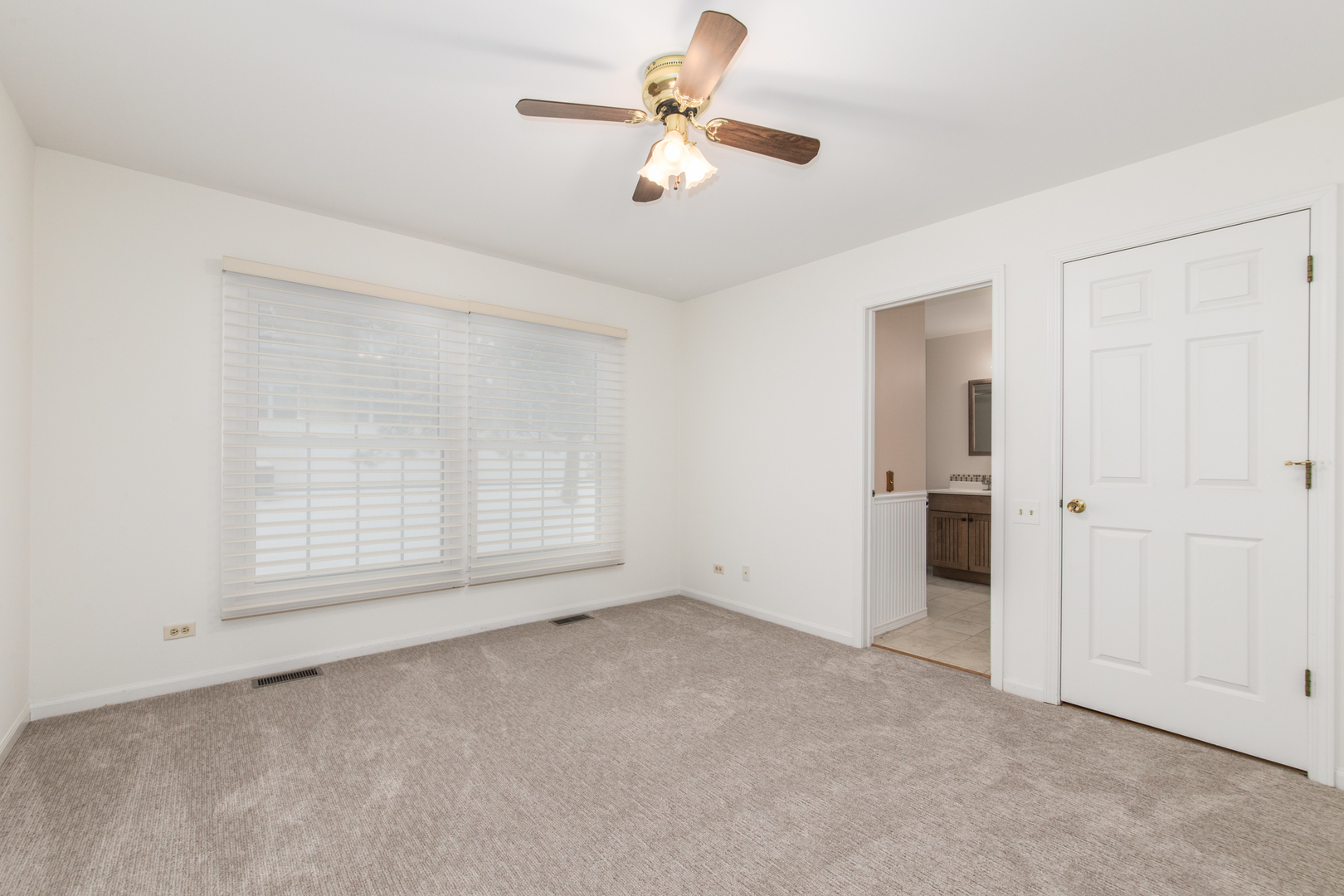 523 Orleans Avenue, Naperville, IL 60565