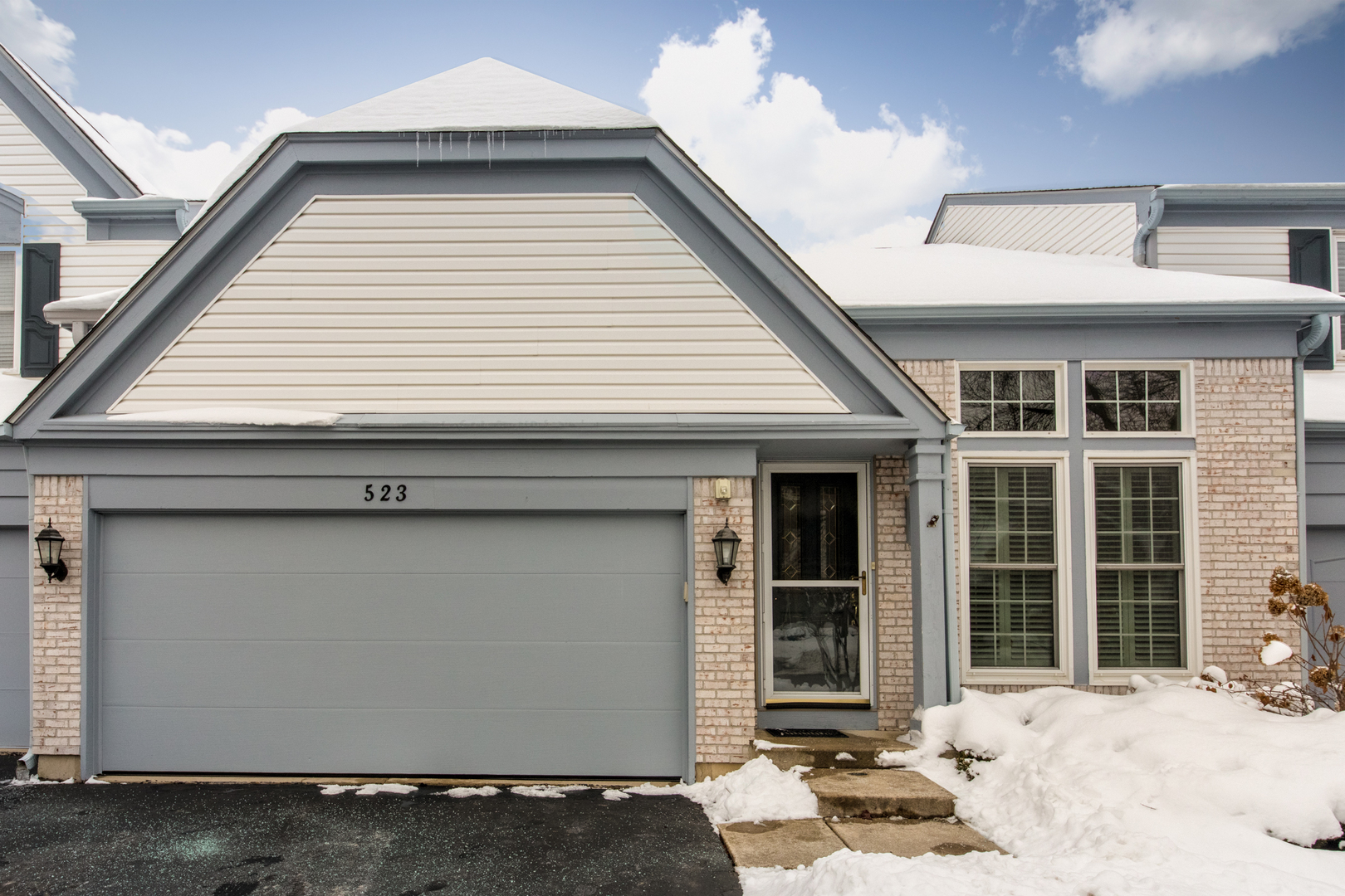 523 Orleans Avenue, Naperville, IL 60565