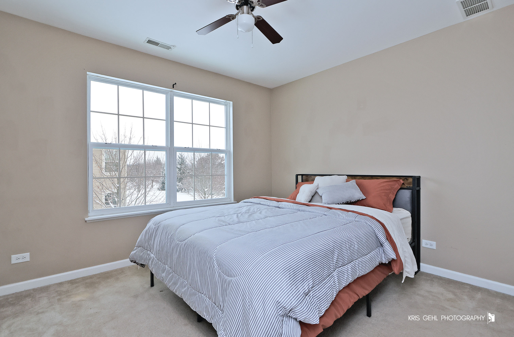 398 S Jade Lane, Round Lake, IL 60073