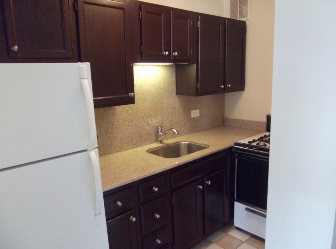 1 E Scott Street #1105, Chicago, IL 60610