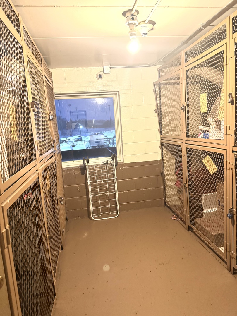 300 S Roselle Road #207, Schaumburg, IL 60193