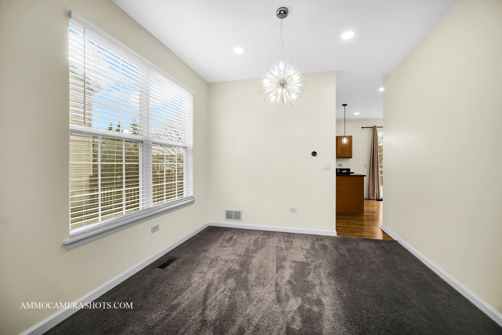 3107 Whitney Road, Aurora, IL 60502