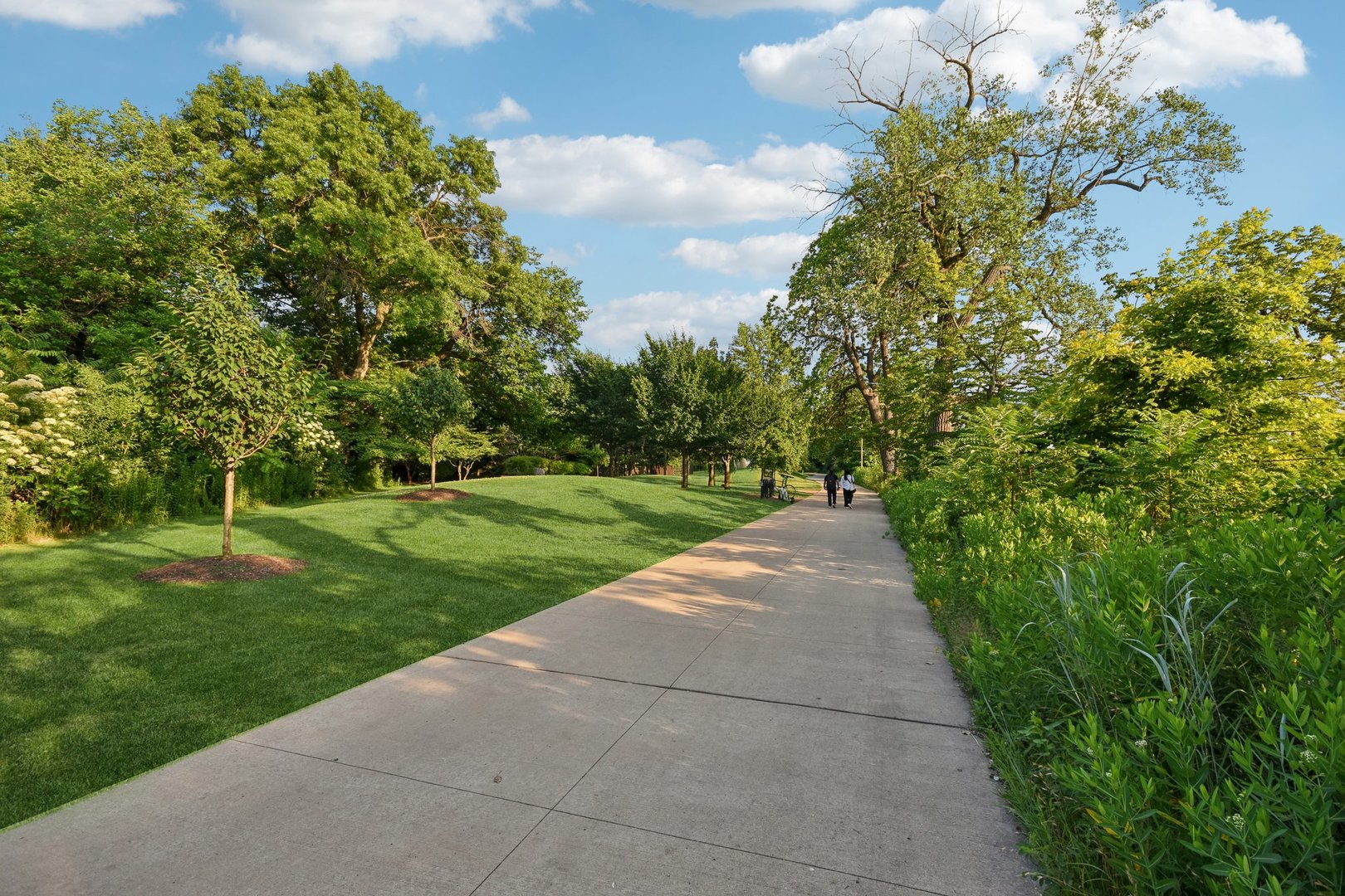 6547 S Langley Avenue, Chicago, IL 60637