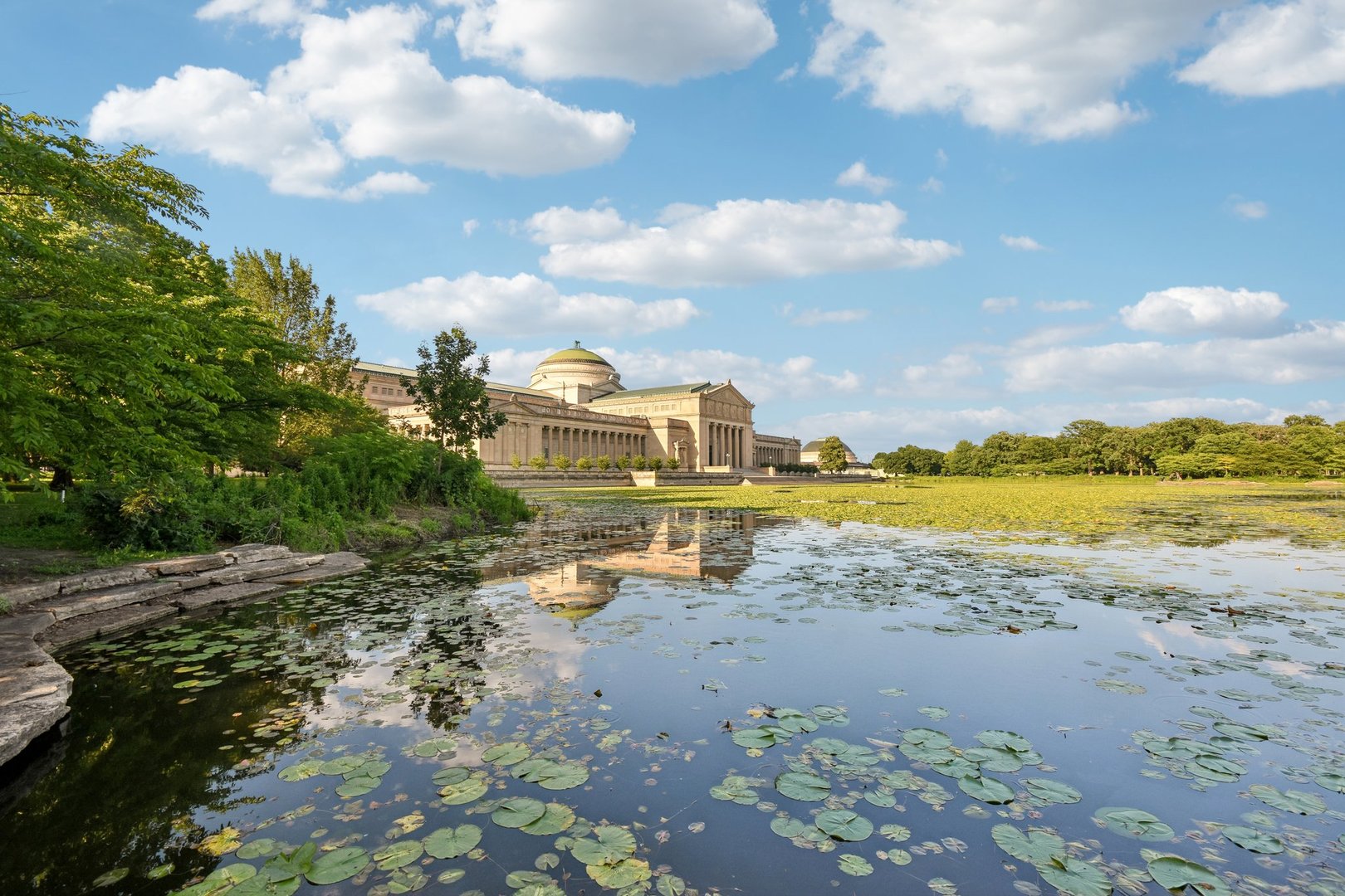 6547 S Langley Avenue, Chicago, IL 60637