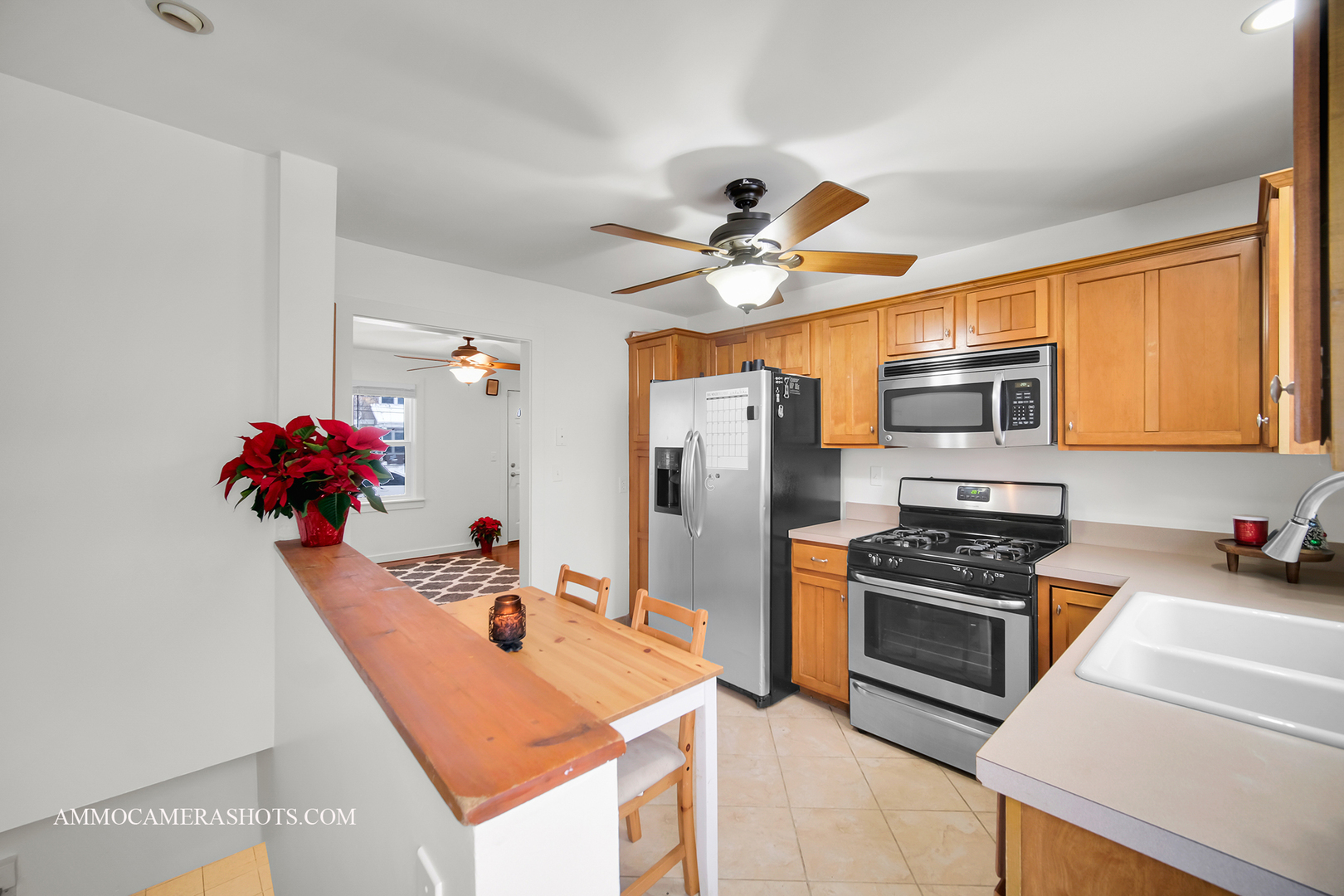 524 N College Street, Batavia, IL 60510