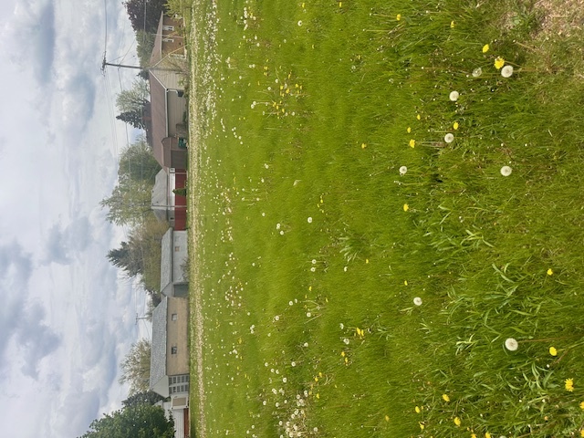 1013 Hoyne Street, Streator, IL 61364