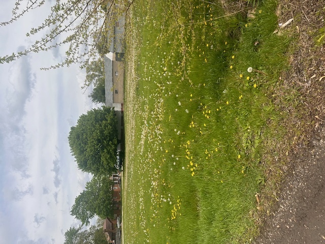 1013 Hoyne Street, Streator, IL 61364