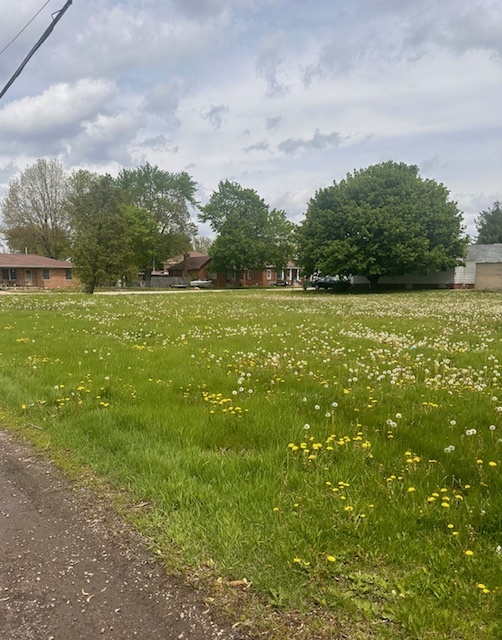 1013 Hoyne Street, Streator, IL 61364