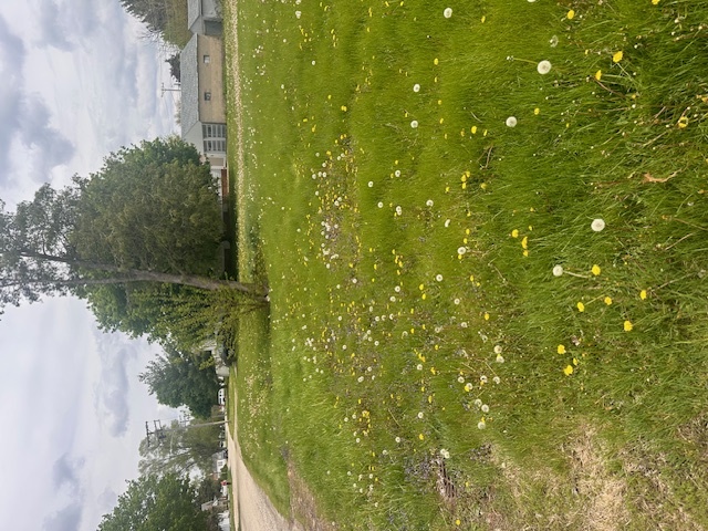 1013 Hoyne Street, Streator, IL 61364