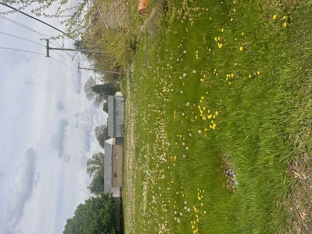 1013 Hoyne Street, Streator, IL 61364