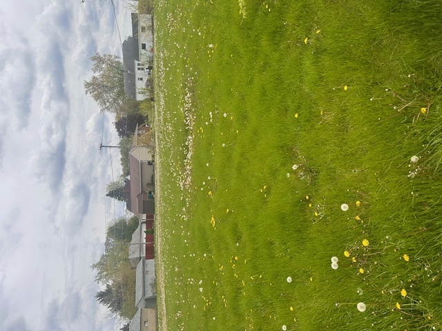 1013 Hoyne Street, Streator, IL 61364