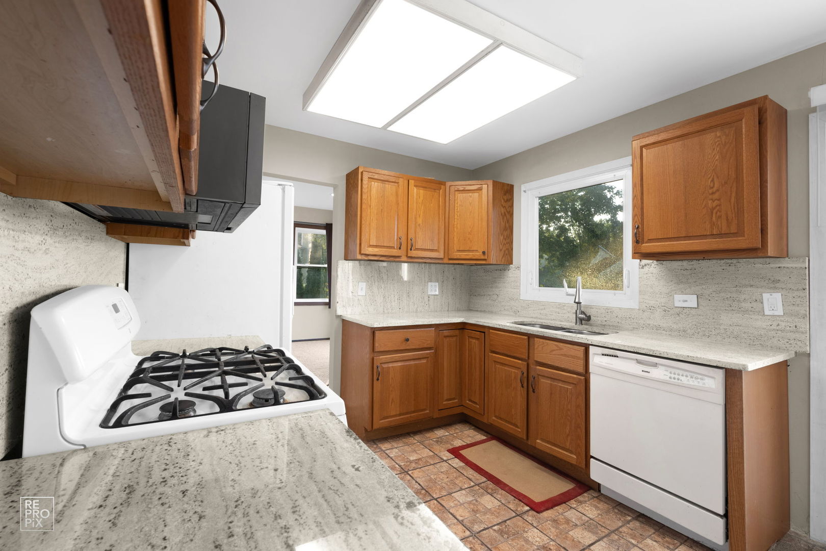 1091 COLONY LAKE Drive, Schaumburg, IL 60194