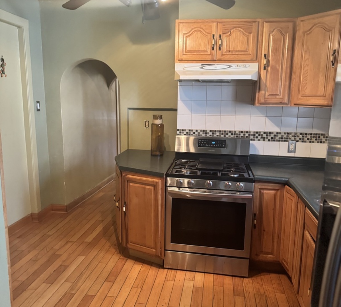 9005 S Paulina Street, Chicago, IL 60620