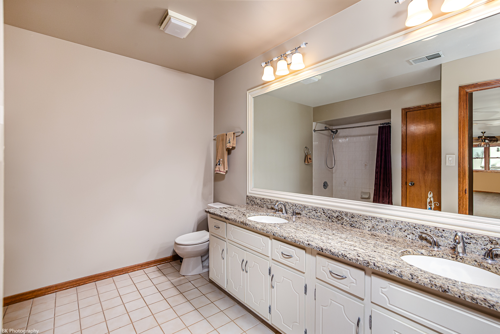 20618 S Green Meadow Lane, Frankfort, IL 60423