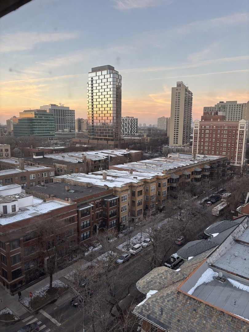 5401 S Hyde Park Boulevard #1206, Chicago, IL 60615