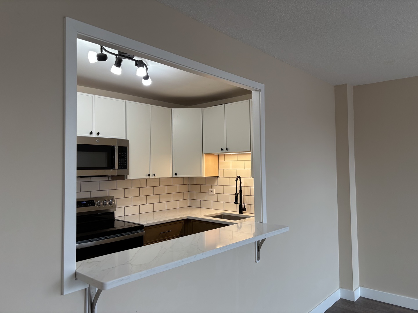 5401 S Hyde Park Boulevard #1206, Chicago, IL 60615