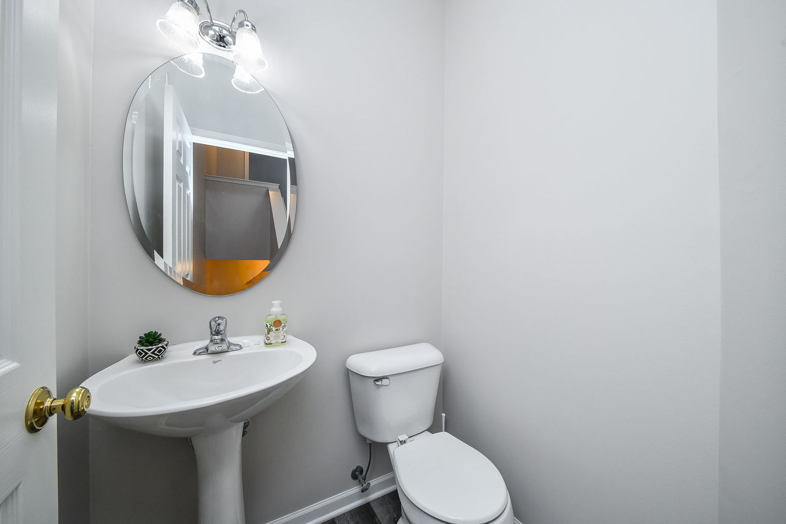 141 River Mist Drive, Oswego, IL 60543