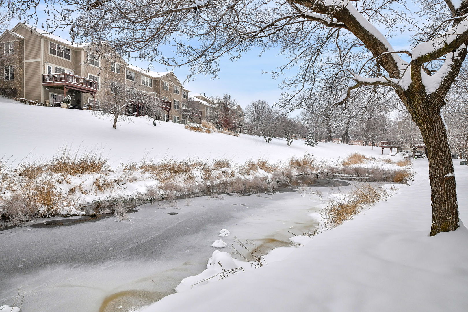 141 River Mist Drive, Oswego, IL 60543