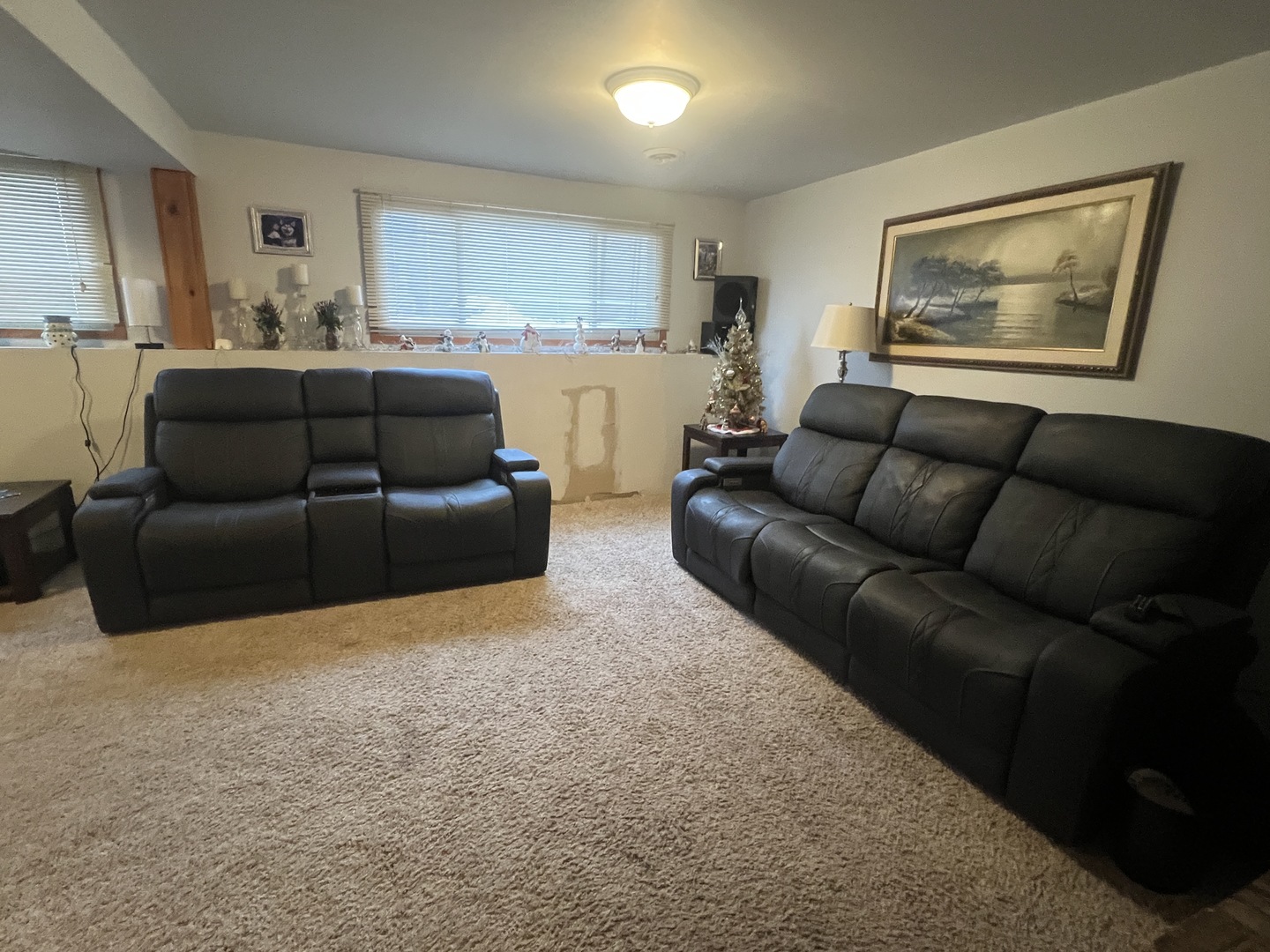 620 Willow Street, Frankfort, IL 60423