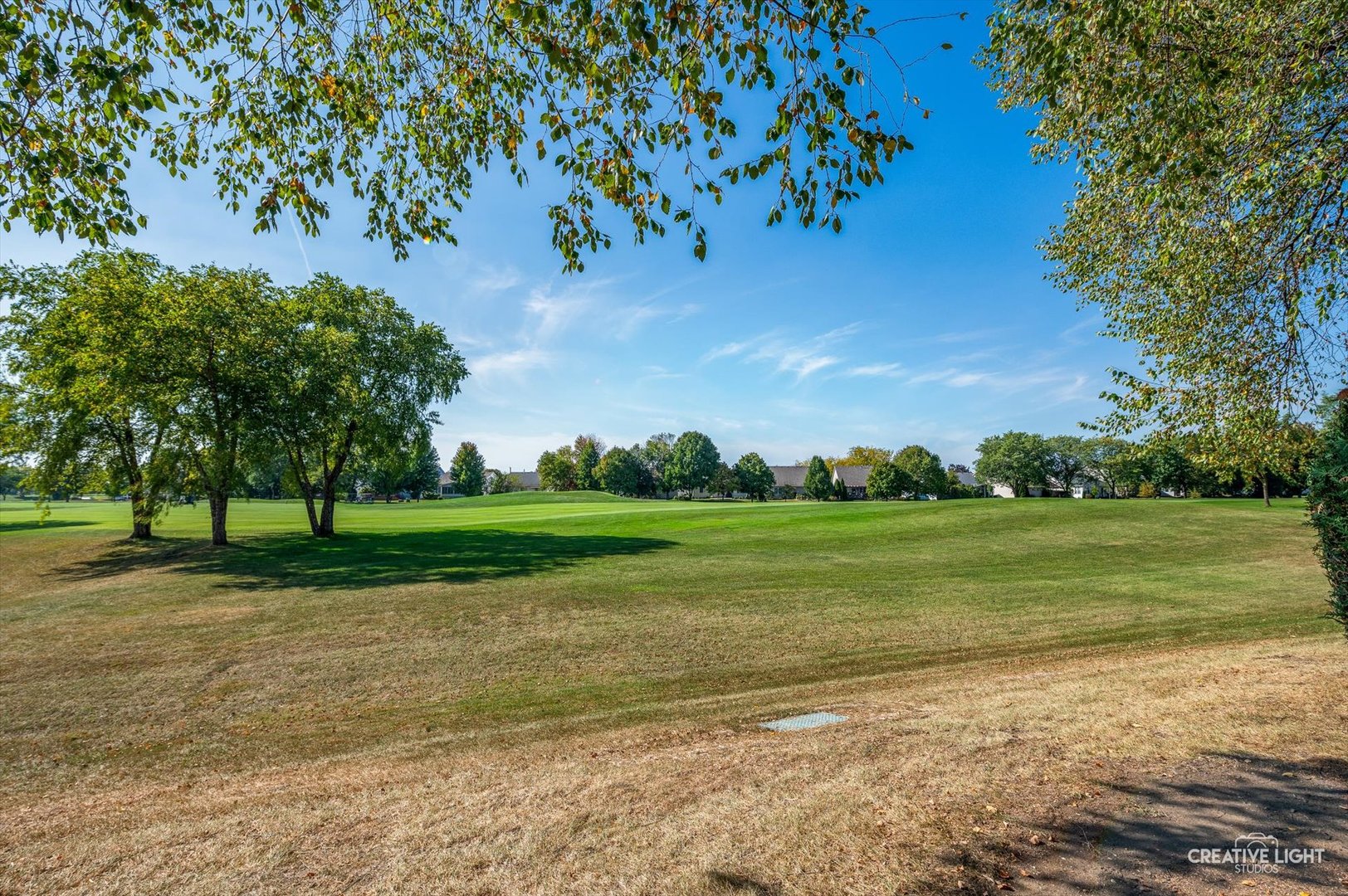 13848 S Balsam Lane #A, Plainfield, IL 60544