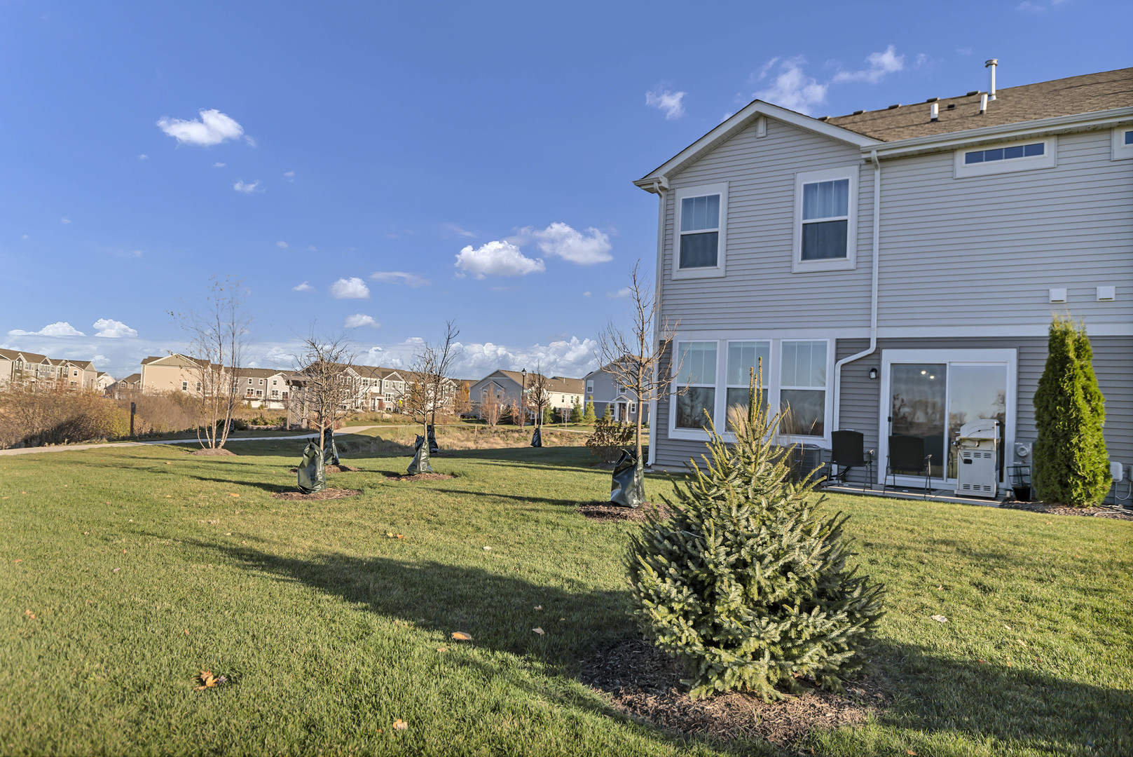 3202 Martini Street, Mundelein, IL 60060