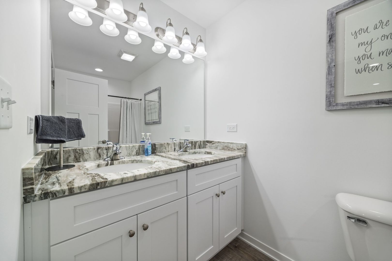 1238 Gillespie Lane, Yorkville, IL 60560