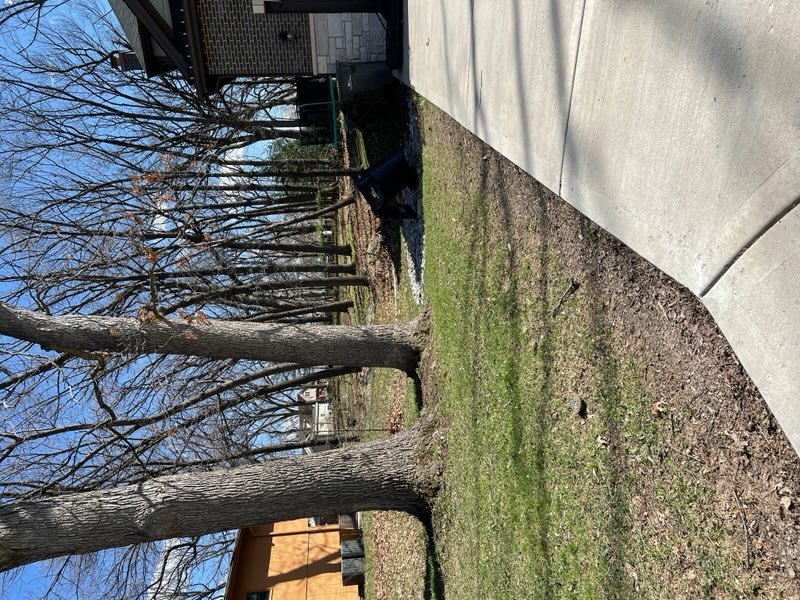 10021 W 146th Street #1, Orland Park, IL 60462