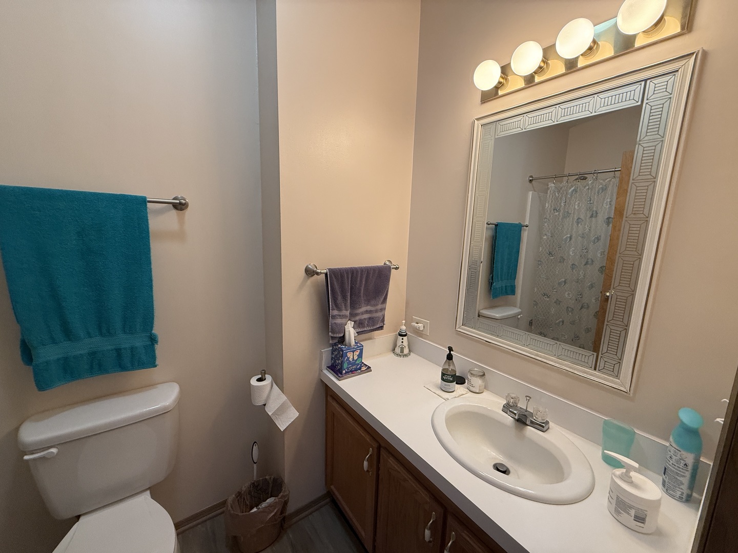 10856 W GATEWAY Drive, Frankfort, IL 60423