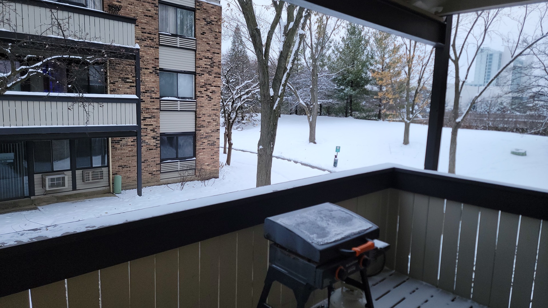 1810 Hemlock Place #209, Schaumburg, IL 60173