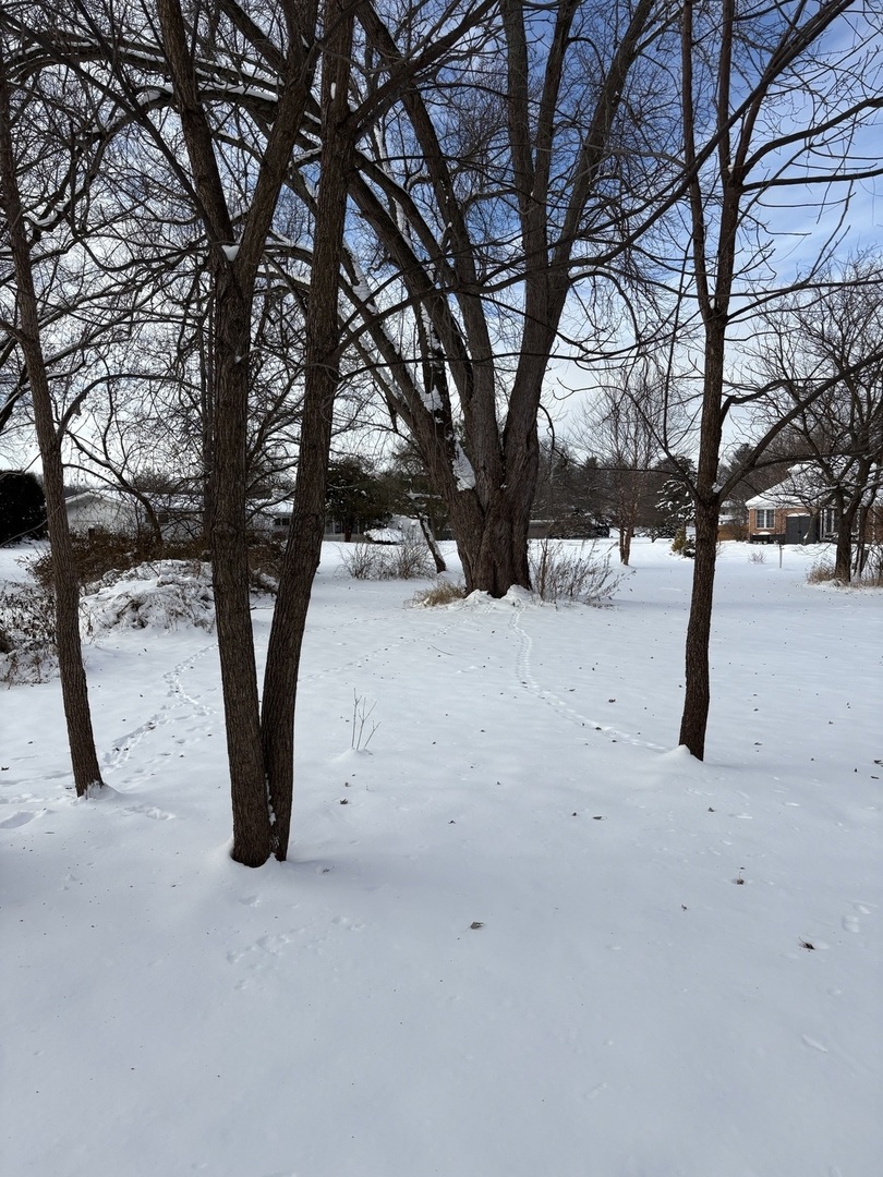 104 Thorobred Lane, Sleepy Hollow, IL 60118